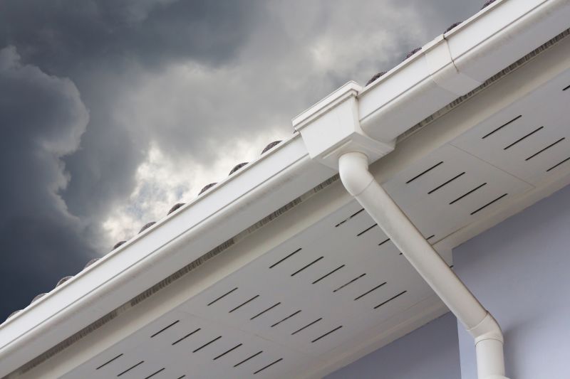 Gutter and Roof System Care